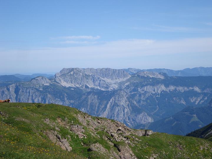 21 Panorama am Wildfeld.JPG